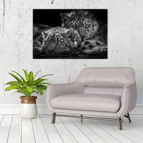 Tablou - Gheparzi care se odihnesc (90x60 cm)