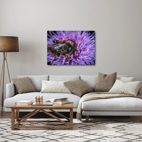 Tablou cu albina pe floare (70x50 cm)