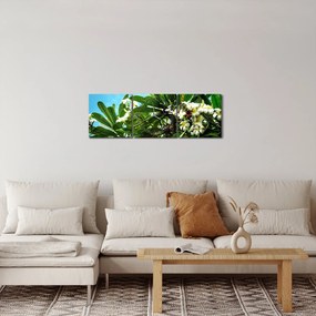 Tablou - Plumeria (cu ceas) (90x30 cm)