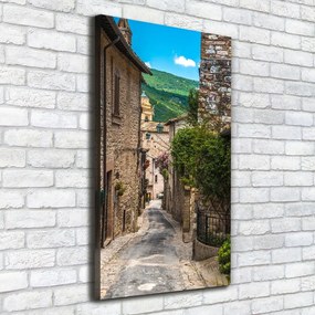 Pictură pe pânză Stradă fermecătoare