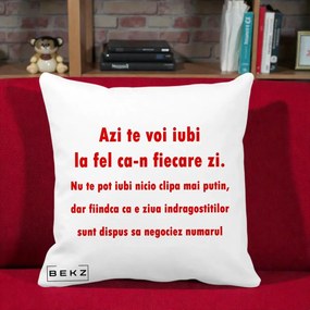 Cadou pentru Iubita - Perna Personalizata Azi Te Voi Iubi, 40x40 cm, Alba Mata, Husa Detasabila, Perna Inclusa, BEKZ®