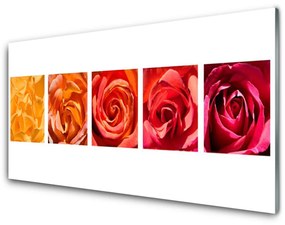 Tablouri acrilice Trandafiri Floral Galben Portocaliu Roșu