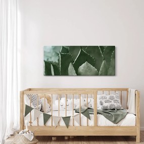 Tablou - Agave verde (120x50 cm)