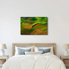 Tablou - Lan, luncile (90x60 cm)