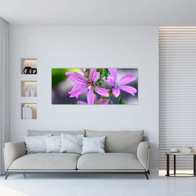 Tablou cu floarea detailat (120x50 cm), în 40 de alte dimensiuni noi