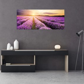 Tablou - Răsărit de soare în câmp de lavandă (120x50 cm)