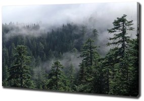 Pictură pe pânză Ceață pădure