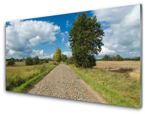 Tablou pe sticla Tara Road Pavaje Peisaj Verde Albastru