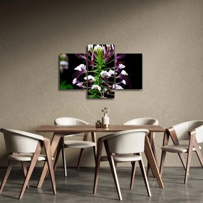 Tablou cu floare (90x60 cm)