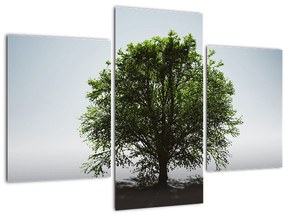 Tablou - Copacul singuratic (90x60 cm)