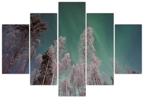 Tablou cu aurora borealis deasupra pomilor înghețați (150x105 cm)