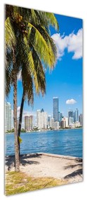 Imagine de sticlă Miami