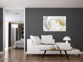 Tablou cu tandafir alb (90x60 cm)