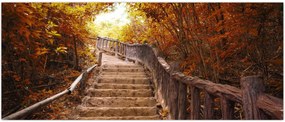 Tablou - Scări în natură în toamnă (120x50 cm)