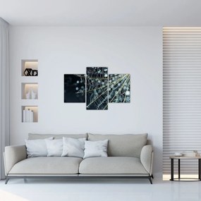 Tablou - Floare cu pânză de pâianjen (90x60 cm)