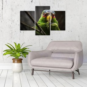 Tablou cu papagal (90x60 cm)