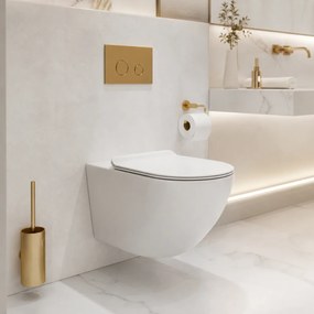 Vas WC suspendat W206, capac duroplast cu amortizor
