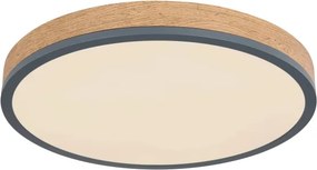 Globo 416080WD2R-CCT-LED Plafonieră DORO dimmabilă 24W/230V 3000-6500K diam. 45 cm