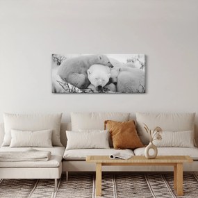 Tablou - Urșii polari (120x50 cm)