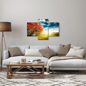 Tablou peisaj cu scufundat în razele solare (90x60 cm)