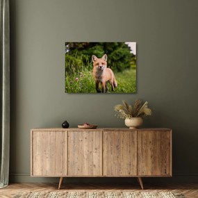 Tablou pe sticlă cu vulpe (70x50 cm)