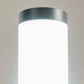 BRILAGI - Lampă LED de exterior ELIA 1xE27/7W/230V 4000K IP44 100 cm antracit
