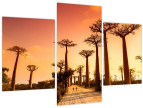 Tablou - Apus de soare pe Aleea Baobabilor (90x60 cm)