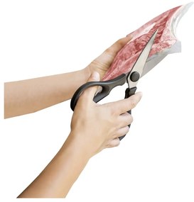 Foarfecă de bucătărie Sico – Wenko