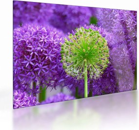 Tablou pe sticlă cu floare (70x50 cm)