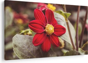 Tablou cu floare (90x60 cm)