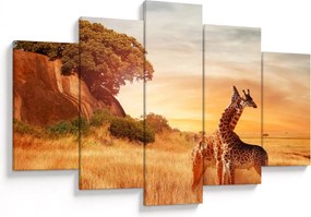 Tablou Girafe în Africa (150x105 cm)