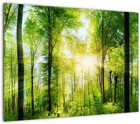 Tablou pe sticlă - Răsărit în pădure (70x50 cm)