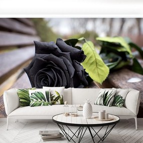 Fototapet Trandafir negru