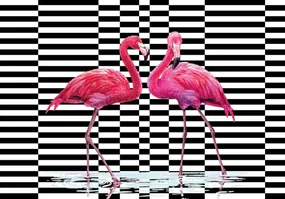 Fototapet - Flamingo 3D (254x184 cm), în 8 de alte dimensiuni noi