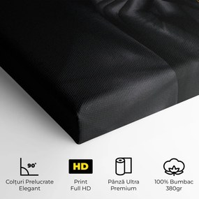 Tablou Canvas, 40x80cm, Dormitor si Living, Femei, Lips, Silence Lips Portrait