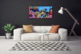 Tablou pe panza canvas Coral Reef Natura Multi