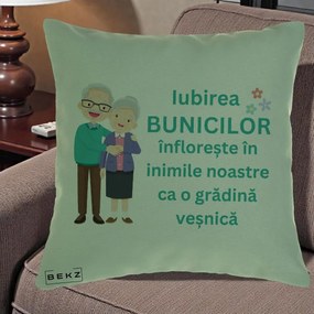 Cadou pentru Bunici - Perna Personalizata Bunicii Iubirea Infloreste Cuplu Senior Teal, 40x40 cm, Verde, Husa Detasabila, Perna Inclusa, BEKZ®