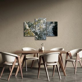Tablou - Detaliu ramură (90x60 cm)