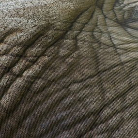 Tablou - Prim-planul ochiului de elefant vechi (cu ceas) (90x30 cm)