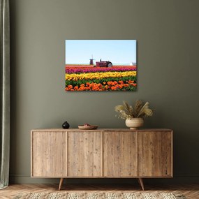 Tablou cu farma de lalele (70x50 cm)