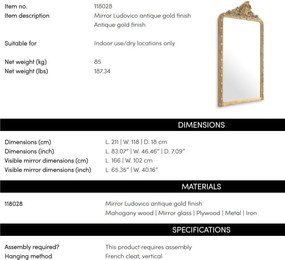 Oglinda decorativa design LUX Ludovico 211x118cm