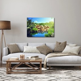 Tablou cu lac în jungla din Seychelles (70x50 cm)