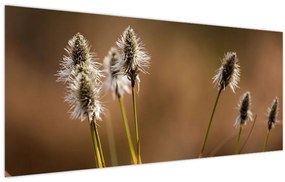 Tablou - Iarbă (120x50 cm)