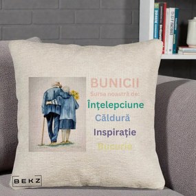 Cadou pentru Bunici - Perna Personalizata Bunicii Sursa Intelepciune Caldura Acuarela, 40x40 cm, Bej Canapea, Husa Detasabila, Perna Inclusa, BEKZ®