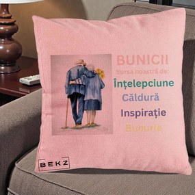 Cadou pentru Bunici - Perna Personalizata Bunicii Sursa Intelepciune Caldura Acuarela, 40x40 cm, Roz, Husa Detasabila, Perna Inclusa, BEKZ®