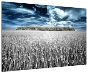 Tablou cu câmp (90x60 cm)