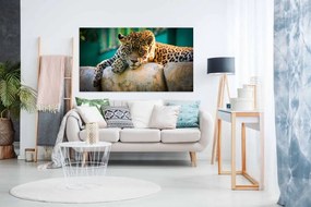 Tablou canvas Jaguarul - 150x100cm