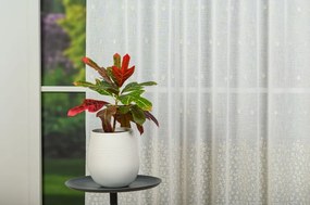 Perdea cu rejansă Splash Alb 1906 – Perdea elegantă cu broderie florală și bordură decorativă