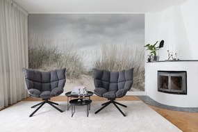 Fototapet, Pale Shore, Rebel Walls