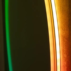 Brilagi - Oglindă încălzită LED RGBW, dimabilă, cu retroiluminare AVA PRO LED/18W/230V, diam. 60 cm, IP44